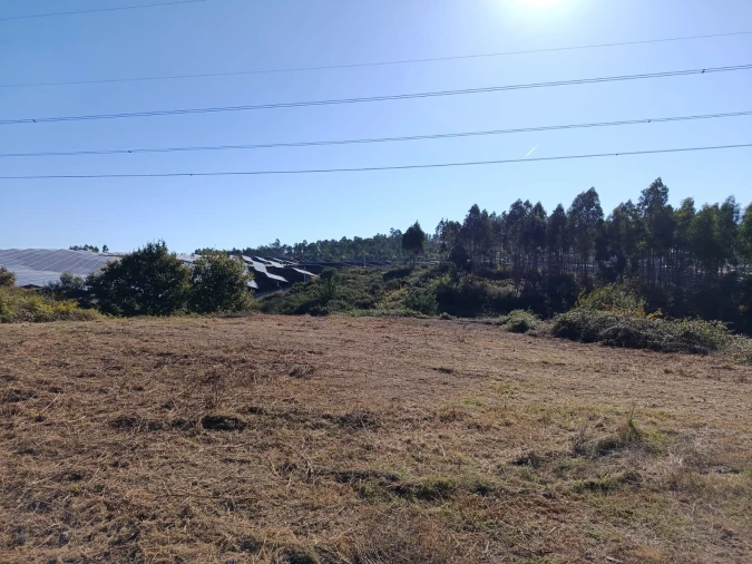 Terreno para Venda em Paços de Ferreira Foto 5