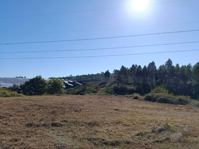 Terreno para Venda em Paços de Ferreira Foto 6