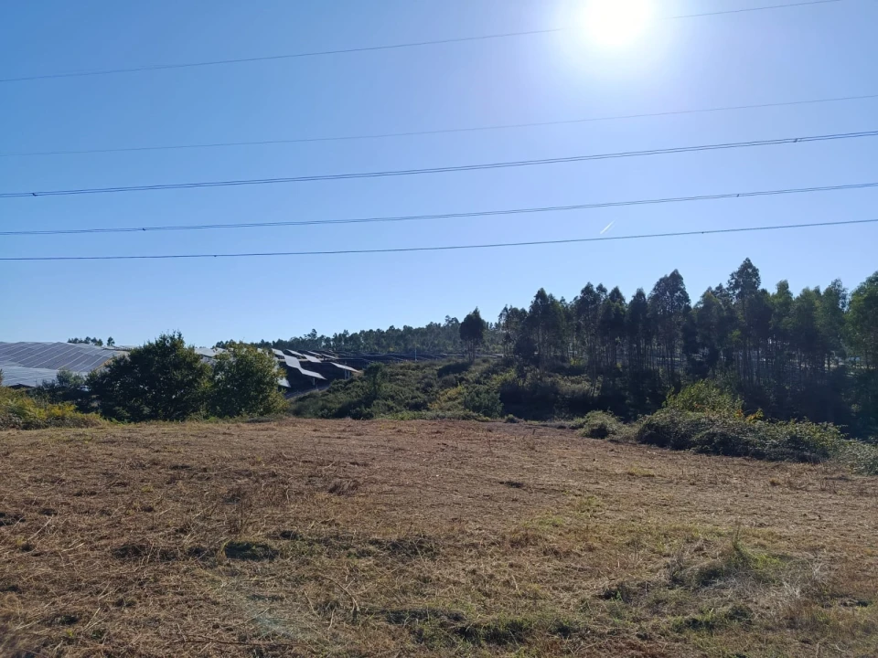 Terreno para Venda em Paços de Ferreira Foto 6