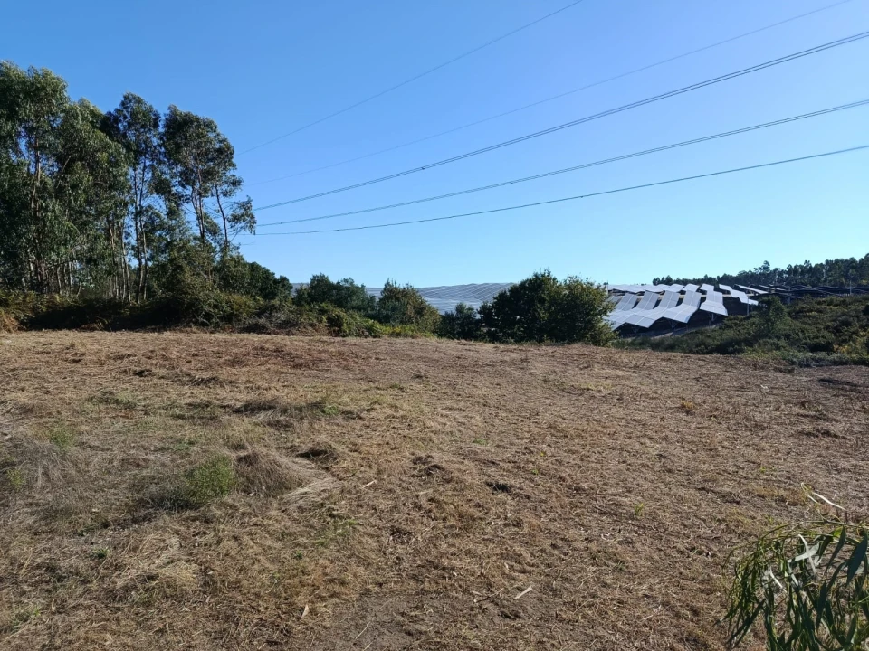 Terreno para Venda em Paços de Ferreira Foto 8