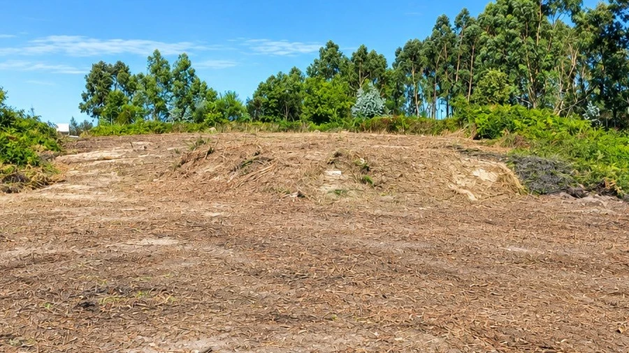 Terreno para Venda em Paços de Ferreira