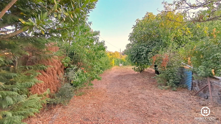 Quinta T5 para Venda em Povolide Foto 53