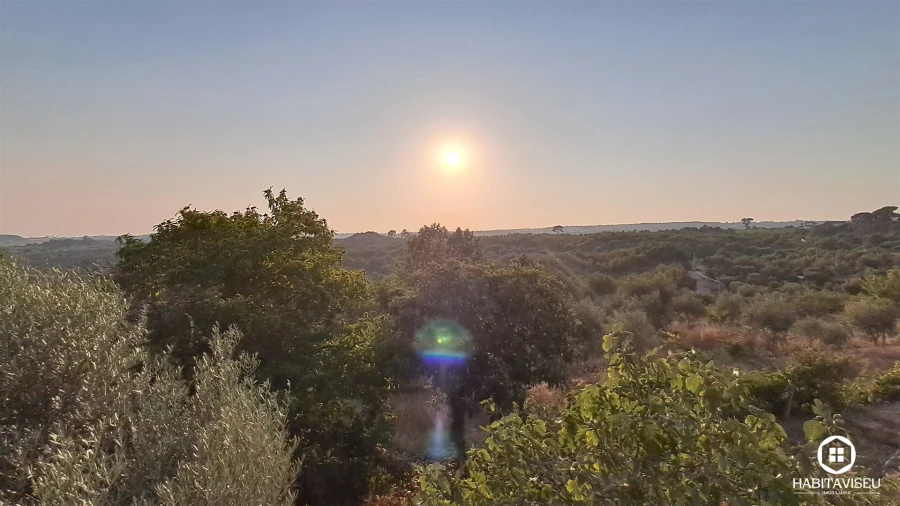 Quinta T5 para Venda em Povolide Foto 45