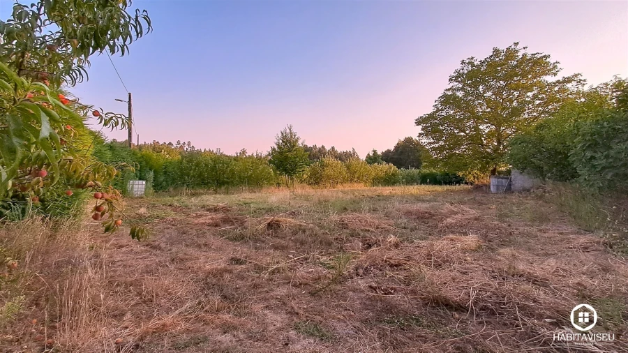 Quinta T5 para Venda em Povolide Foto 55