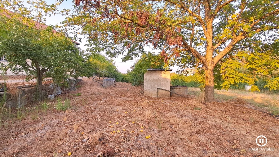 Quinta T5 para Venda em Povolide Foto 68