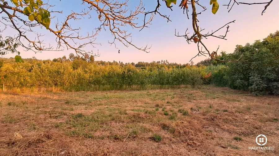 Quinta T5 para Venda em Povolide Foto 69