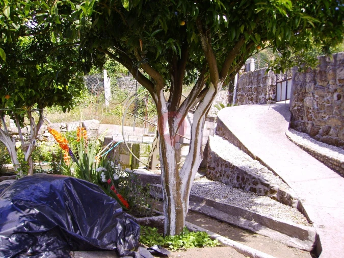 Moradia T5 para Venda em Cristoval Foto 11