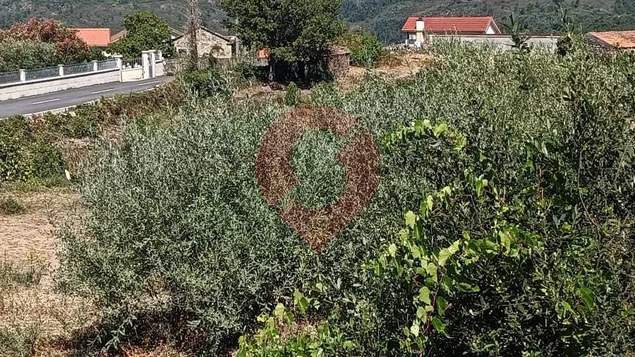Terreno para Venda em Riba de Mouro
