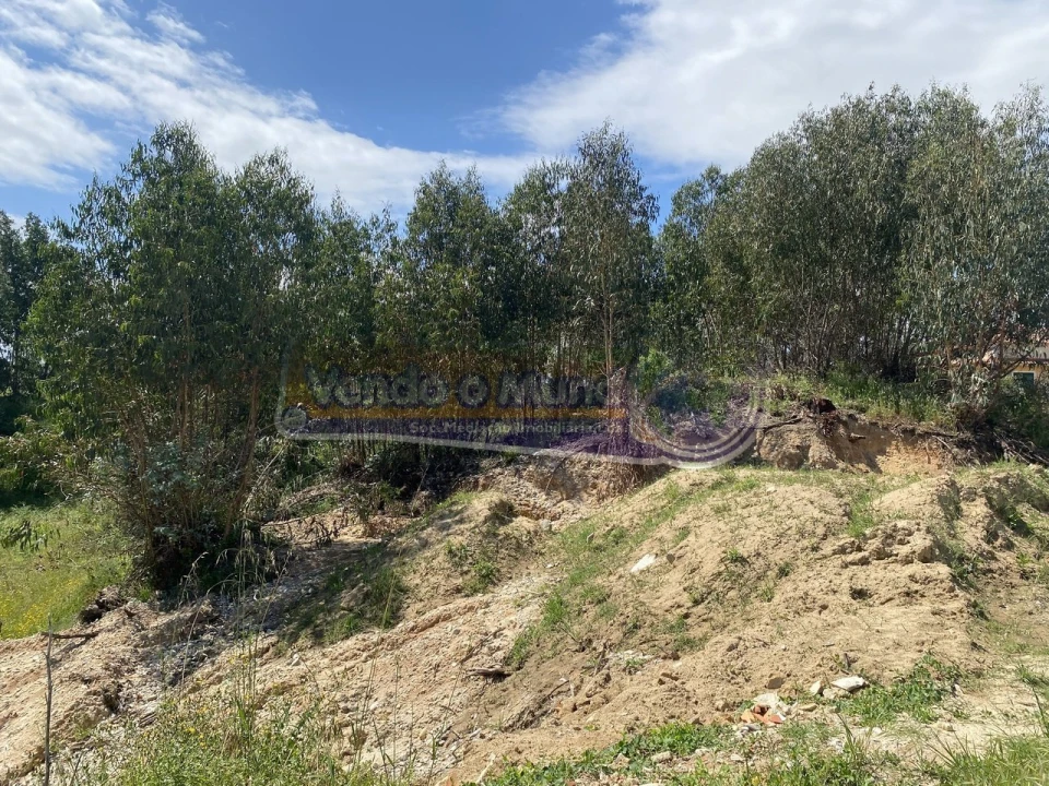 Moradia T3 para Venda em Glória do Ribatejo e Granho Foto 13