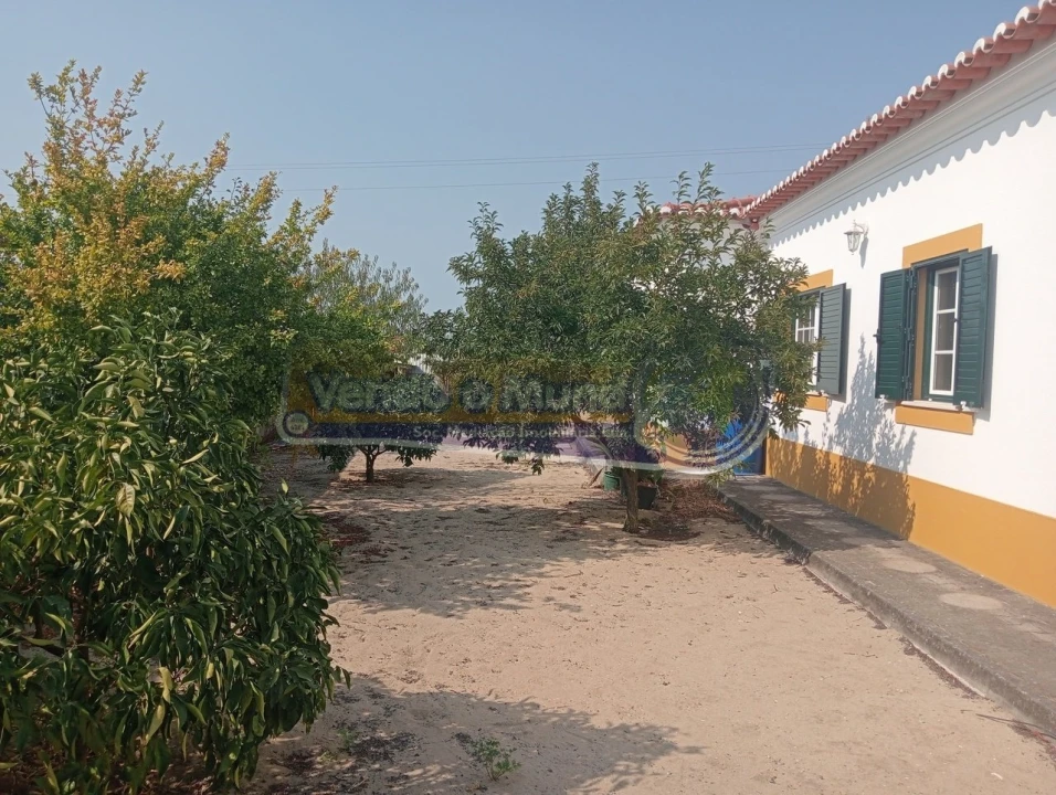 Moradia T3 para Venda em Marinhais Foto 9