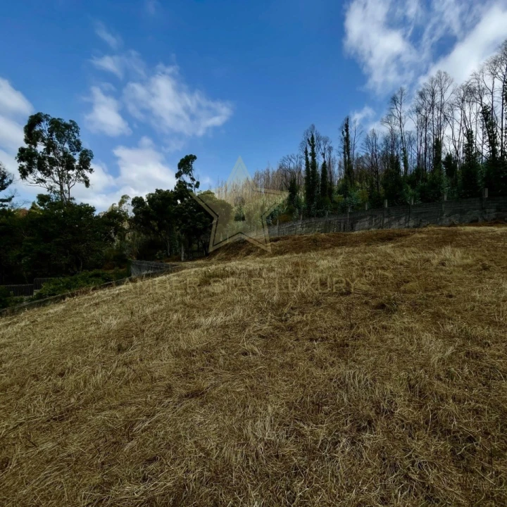 Terreno para Venda em Melres e Medas Foto 6