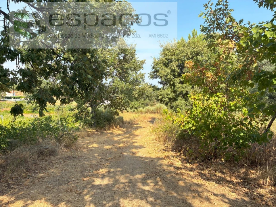 Quinta para Venda em Teixoso e Sarzedo Foto 17