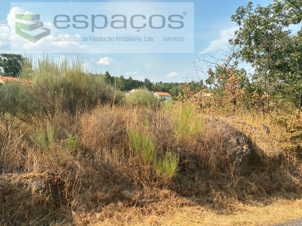 Quinta para Venda em Teixoso e Sarzedo Foto 21