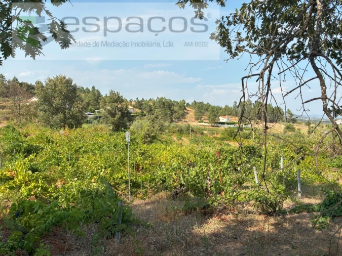 Quinta para Venda em Teixoso e Sarzedo Foto 13