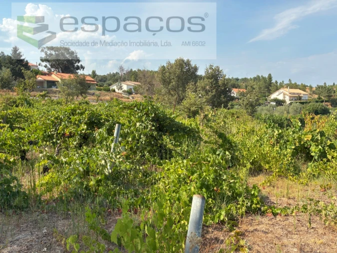 Quinta para Venda em Teixoso e Sarzedo Foto 14