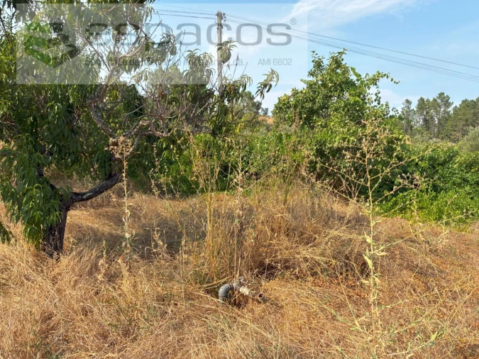Quinta para Venda em Teixoso e Sarzedo Foto 25