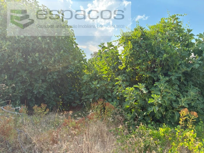 Quinta para Venda em Teixoso e Sarzedo Foto 29