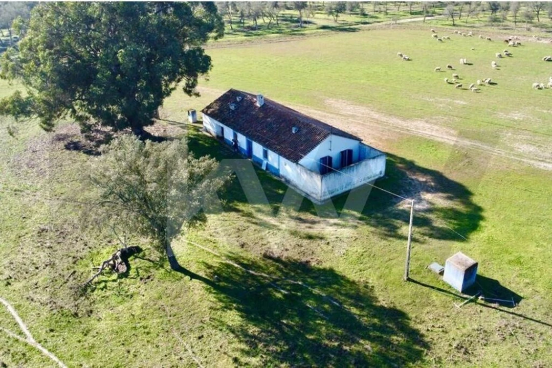 Quinta T3 para Venda em São Domingos e Vale de Água Foto 43