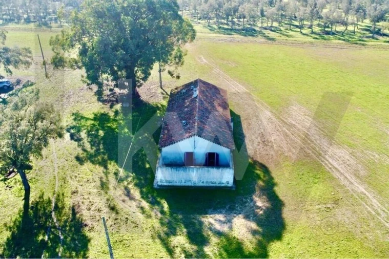 Quinta T3 para Venda em São Domingos e Vale de Água Foto 42