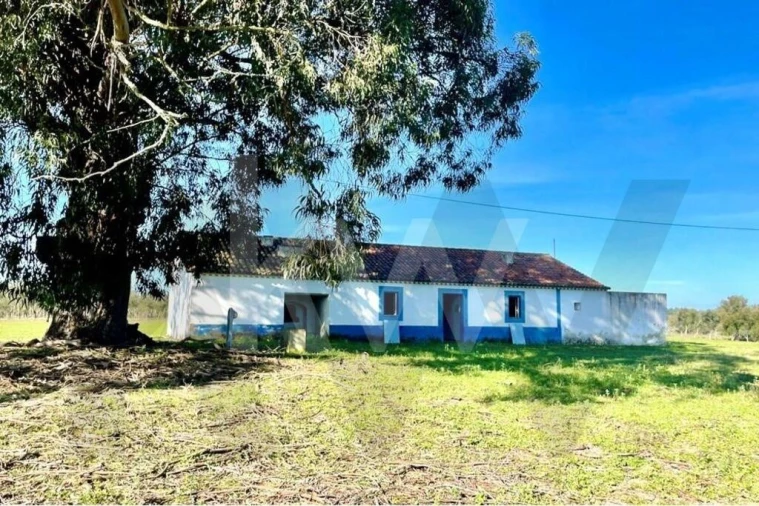 Quinta T3 para Venda em São Domingos e Vale de Água Foto 44