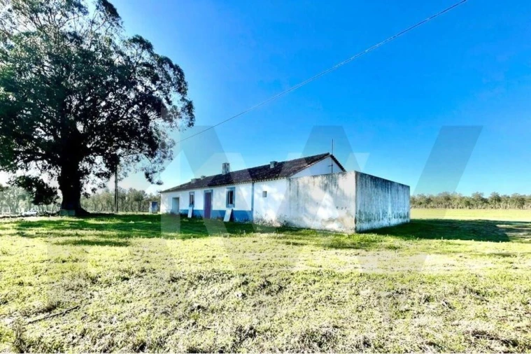 Quinta T3 para Venda em São Domingos e Vale de Água Foto 46