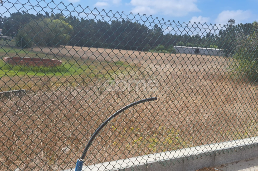 Terreno para Venda em Sanguinheira Foto 3