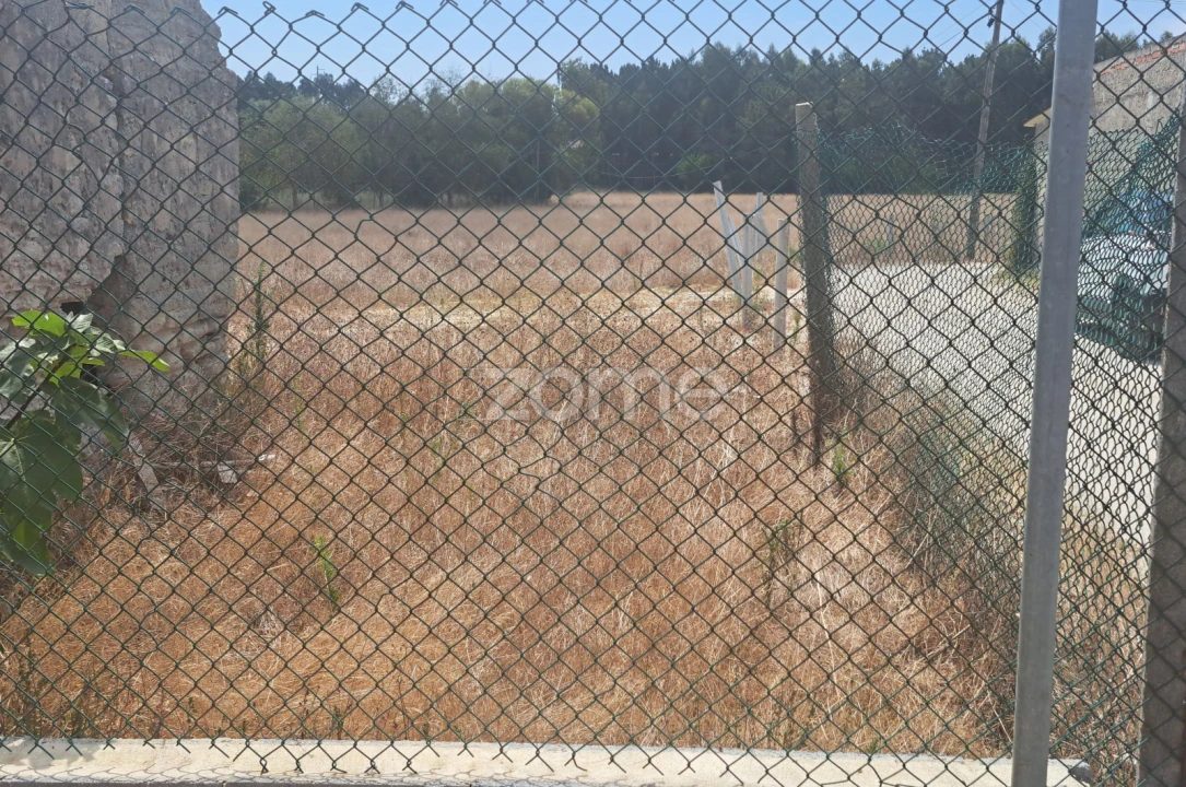 Terreno para Venda em Sanguinheira Foto 1