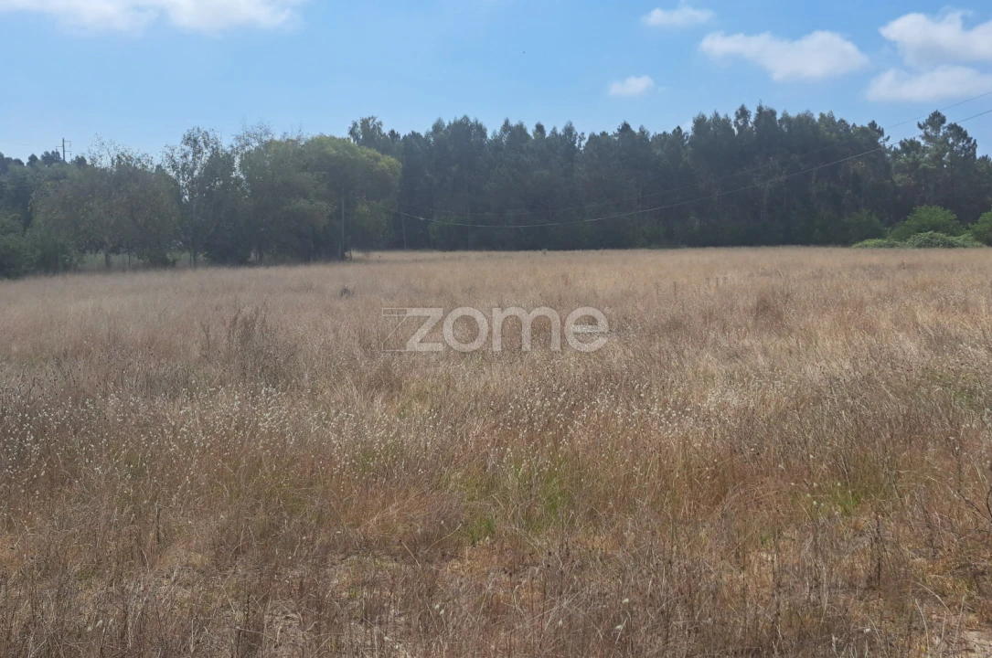 Terreno para Venda em Sanguinheira Foto 9