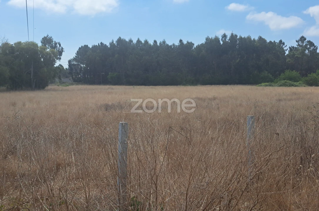 Terreno para Venda em Sanguinheira Foto 10