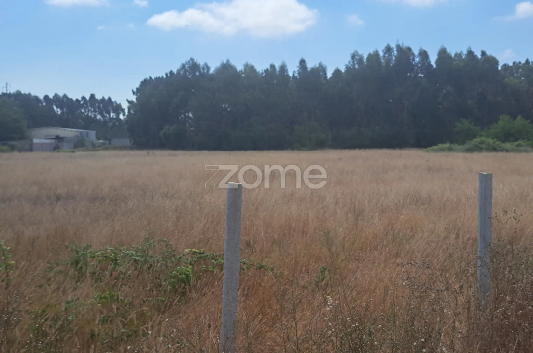 Terreno para Venda em Sanguinheira Foto 11