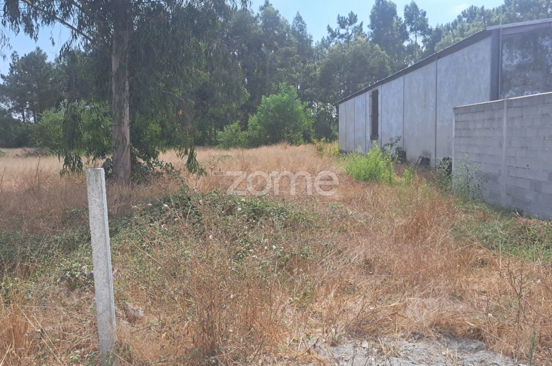 Terreno para Venda em Sanguinheira Foto 13