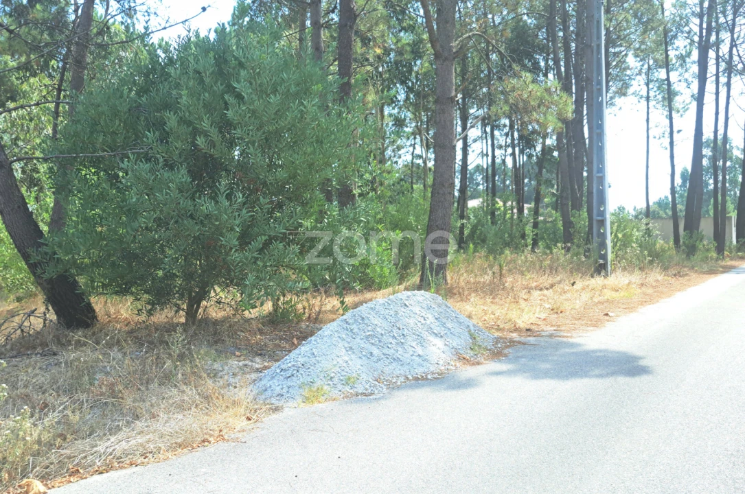 Terreno para Venda em Sanguinheira Foto 14