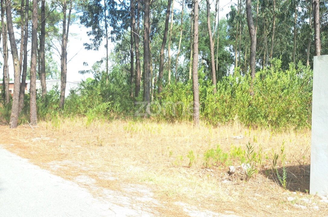 Terreno para Venda em Sanguinheira Foto 17