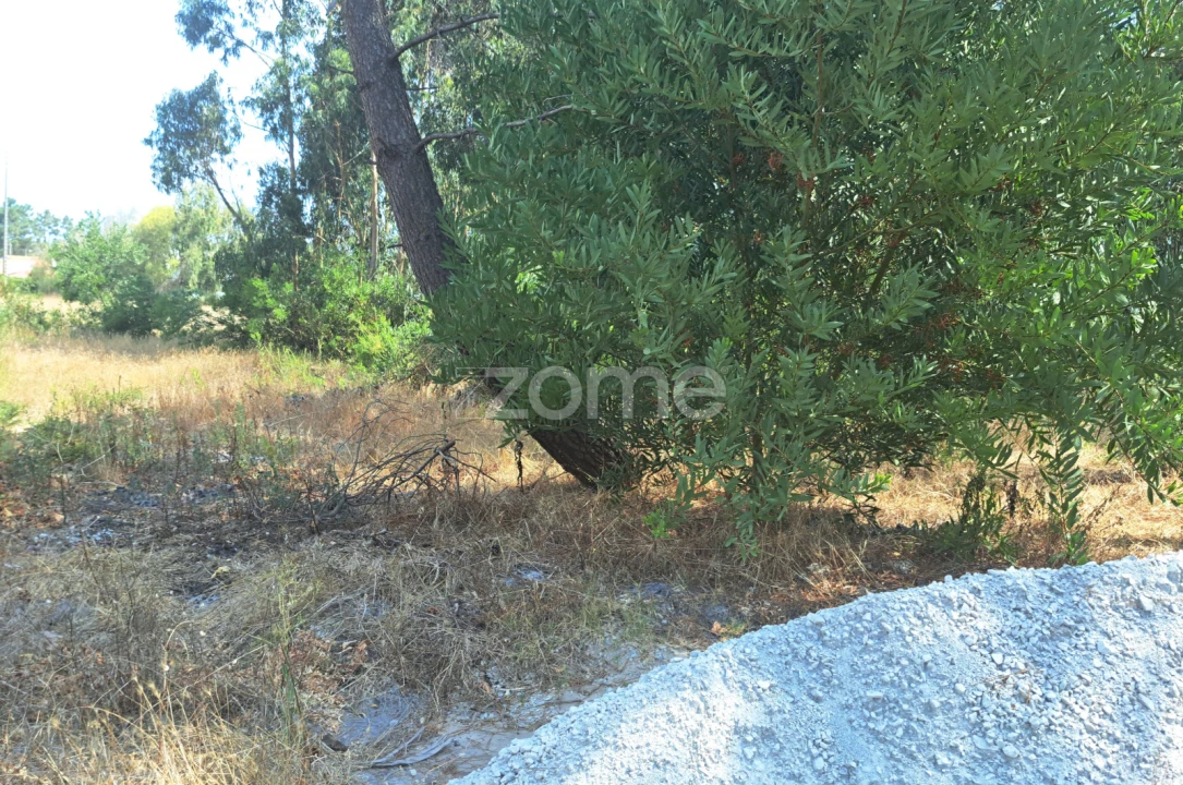 Terreno para Venda em Sanguinheira Foto 20