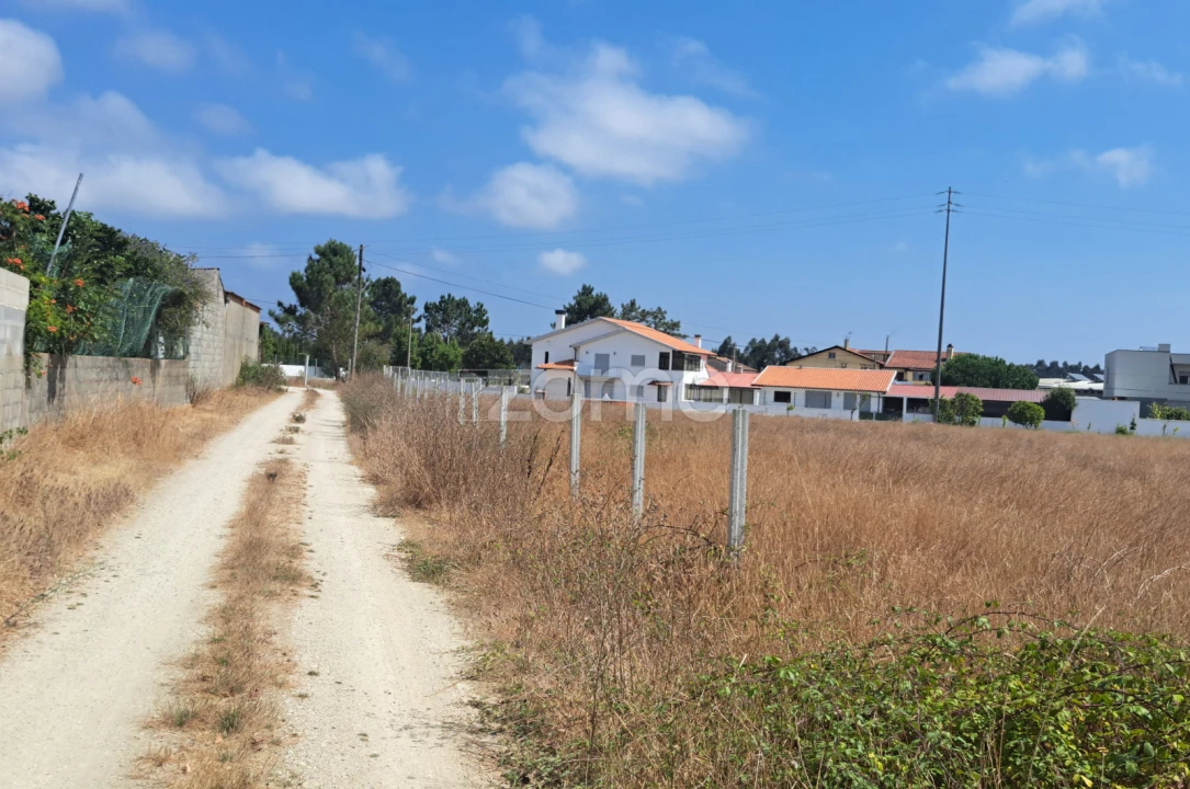 Terreno para Venda em Sanguinheira Foto 23