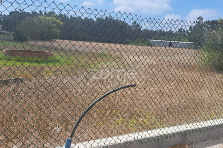 Terreno para Venda em Sanguinheira Foto 3