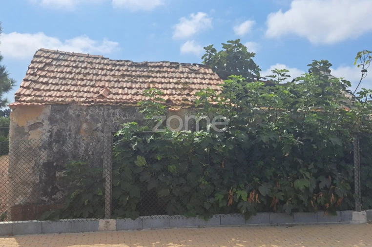 Terreno para Venda em Sanguinheira Foto 5