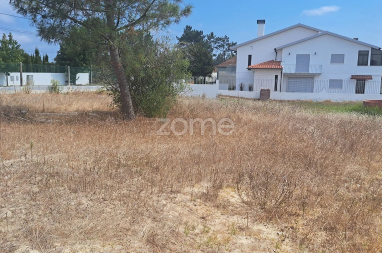 Terreno para Venda em Sanguinheira Foto 6