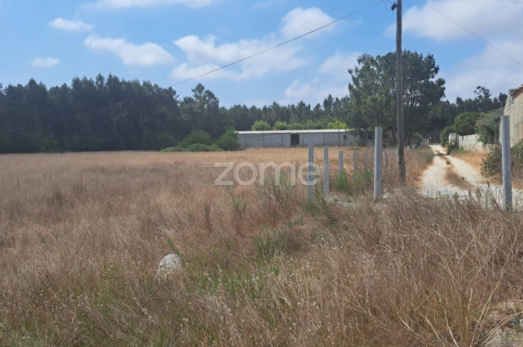 Terreno para Venda em Sanguinheira Foto 8
