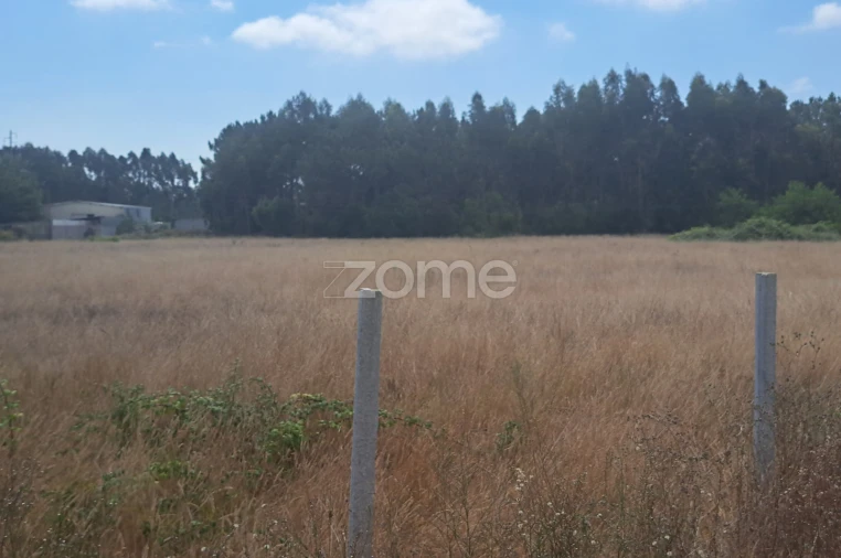 Terreno para Venda em Sanguinheira Foto 11