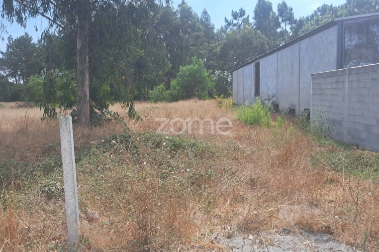 Terreno para Venda em Sanguinheira Foto 13