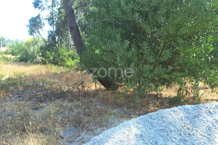 Terreno para Venda em Sanguinheira Foto 20