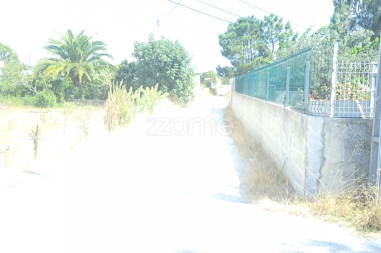 Terreno para Venda em Sanguinheira Foto 21