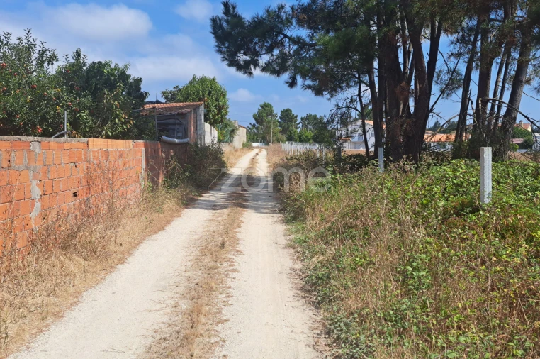Terreno para Venda em Sanguinheira Foto 22