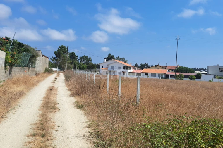 Terreno para Venda em Sanguinheira Foto 23