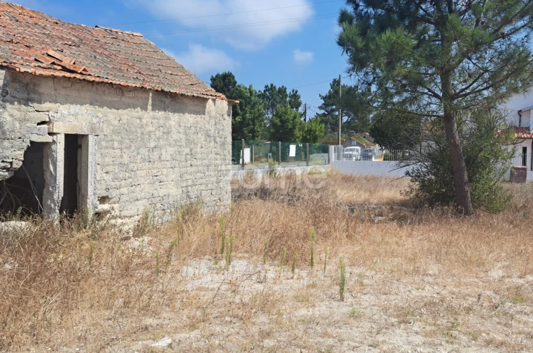 Terreno para Venda em Sanguinheira Foto 27