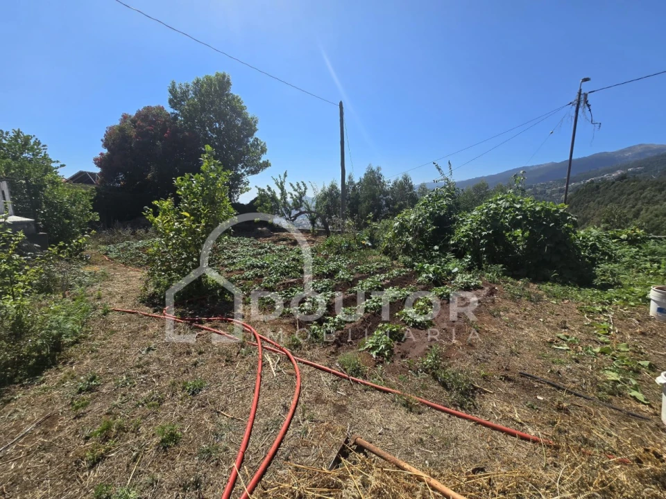 Terreno para Venda em Funchal (Santa Maria Maior) Foto 4