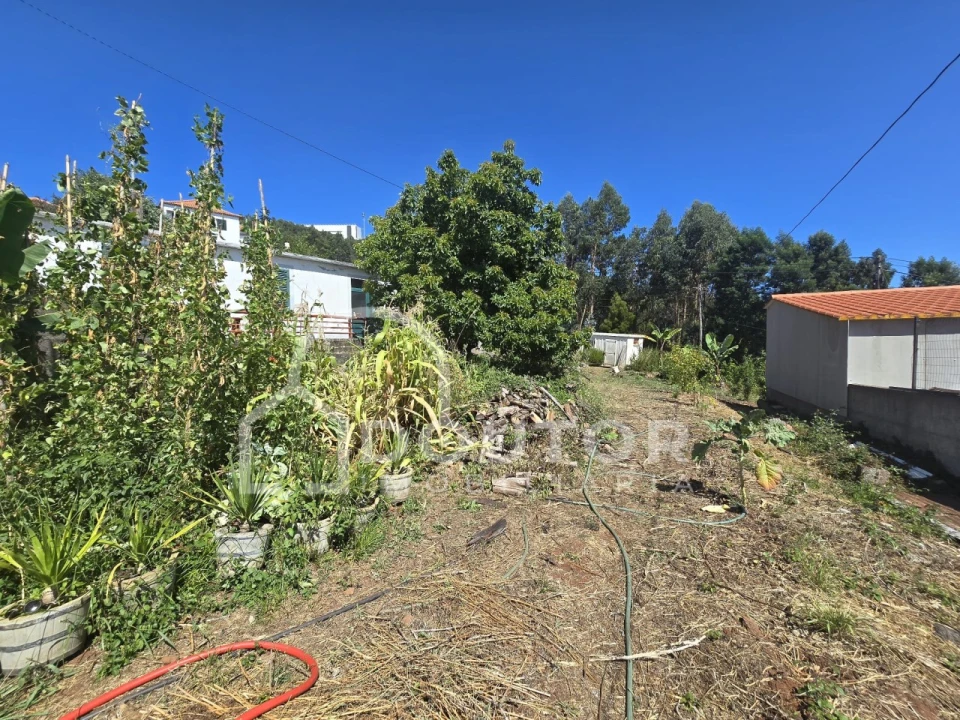 Terreno para Venda em Funchal (Santa Maria Maior) Foto 5