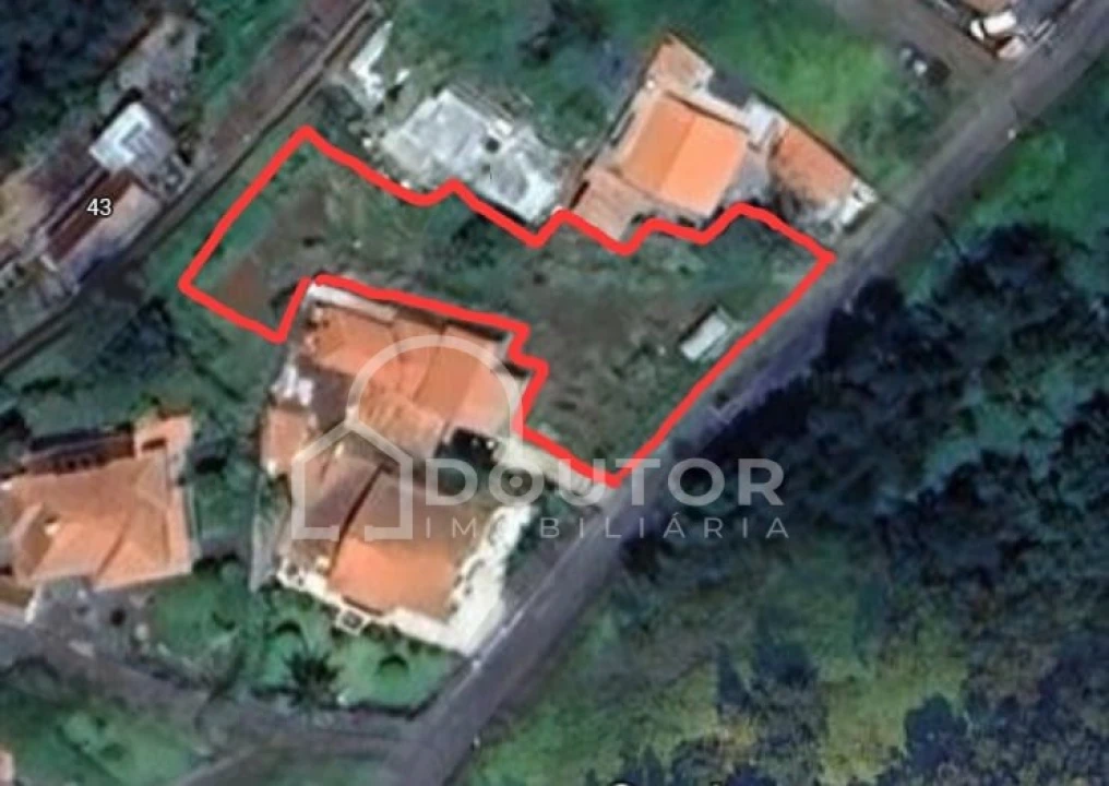 Terreno para Venda em Funchal (Santa Maria Maior) Foto 6