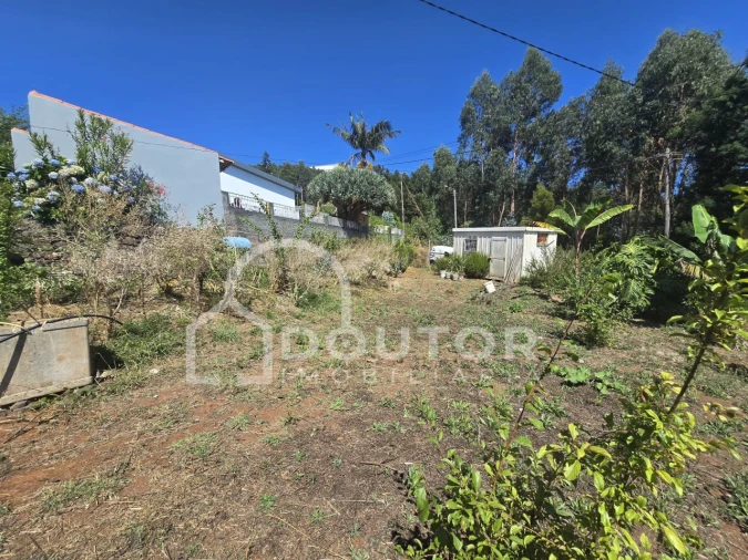 Terreno para Venda em Funchal (Santa Maria Maior) Foto 2